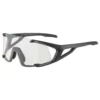 Alpina Gafas De Sol Hawkeye S